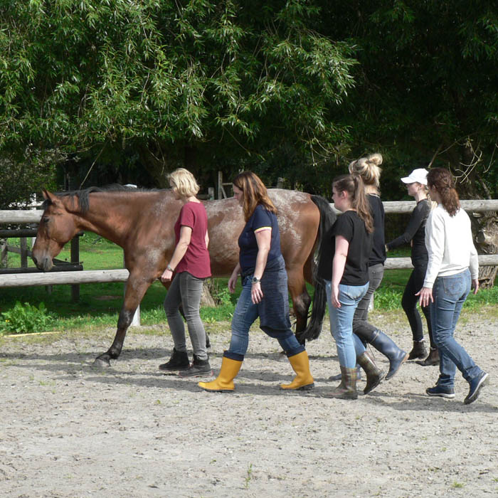 Teamevent Übung als Gruppe