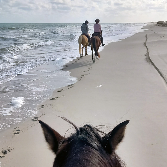 Ausritt am Strand auf Djerba