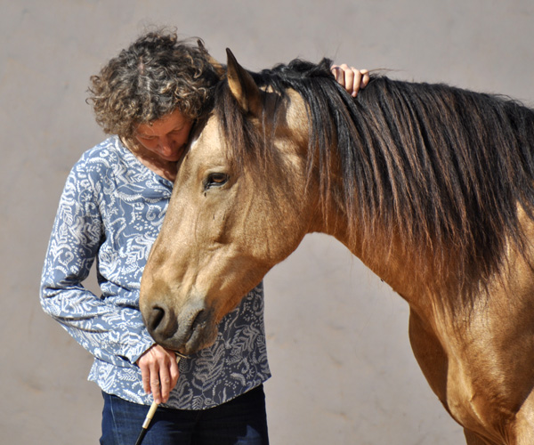 Vertrautheit mit Pferd