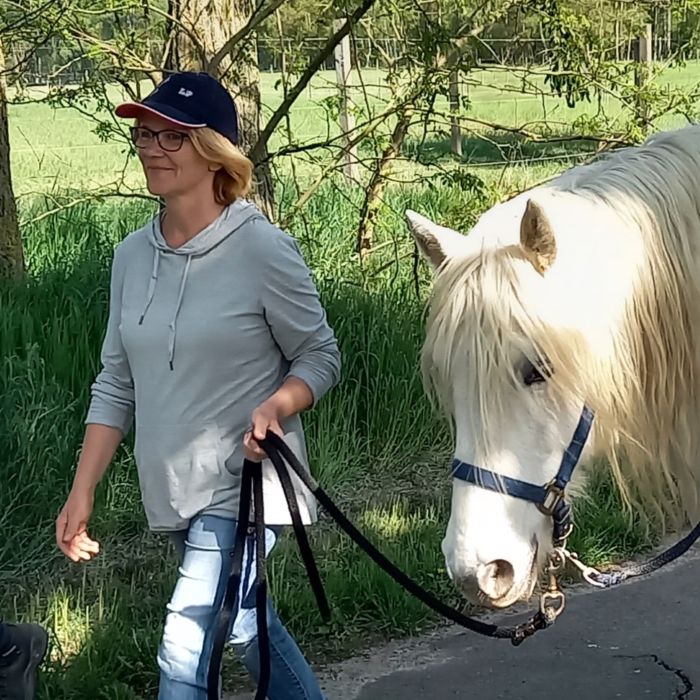 Stress adé - Spaziergang mit den Pferden Spaziergang mit den Pferden