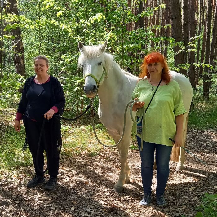 Stress ade - Pferdespaziergang im Wald Pferdespaziergang im Wald