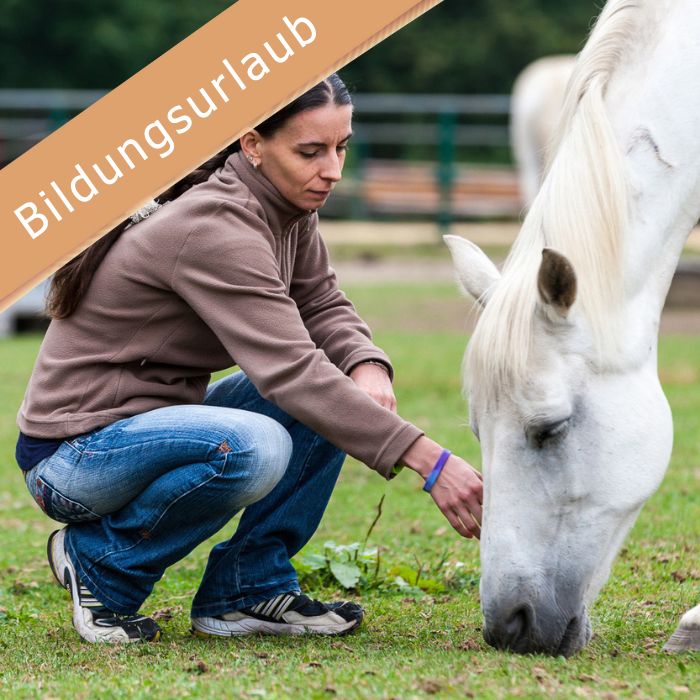 Bildungszeit Achtsamkeit und Stressbewältigung
