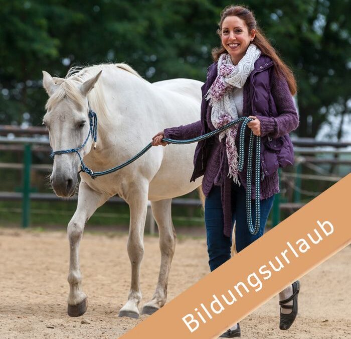 Selbstsicher im Job – Bildungszeit mit Pferdestärken