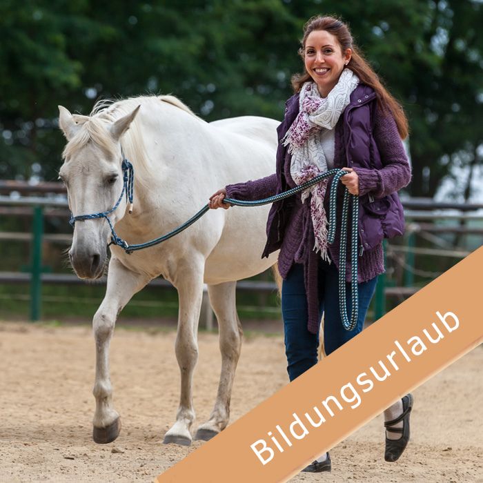 Selbstsicherheit mit Pferden lernen