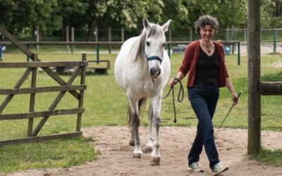 Führung beginnt bei dir – Erkenntnisse aus dem Pferdecoaching über Klarheit, Fokus und Dranbleiben