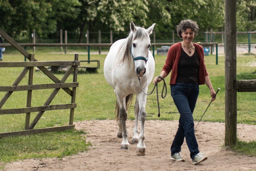 Führen mit innerer Klarheit Katharina führt ein Pferd