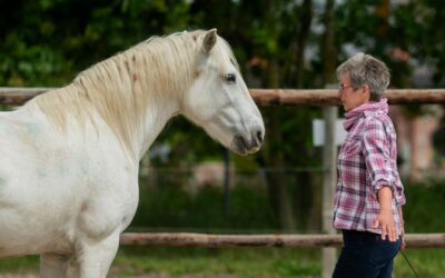 Warum mir kein Pferd mehr auf den Fuß tritt – und 7 Regeln, die auch dir helfen, Grenzen zu setzen